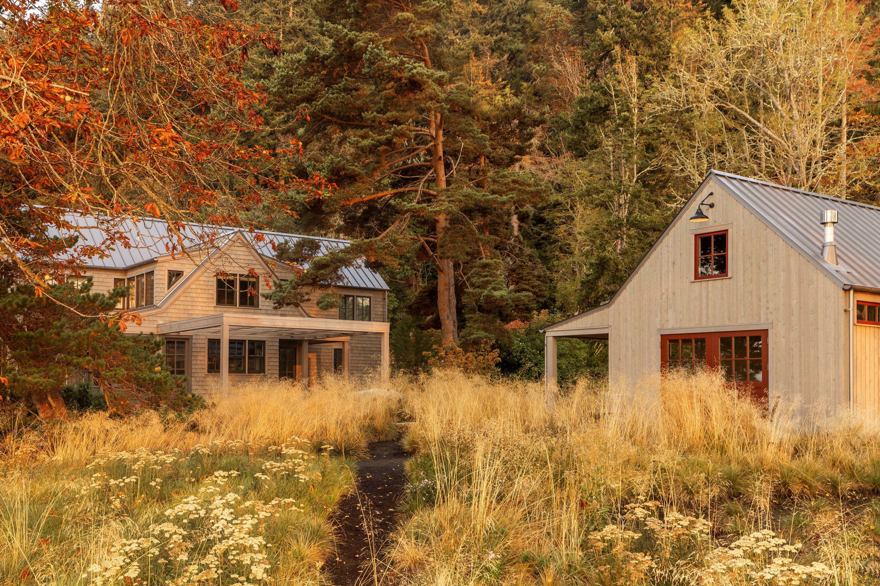 Exterior view showcasing the stunning rustic wood siding of both buildings. The whimsical grass landscape adds natural charm.